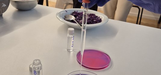 Kemijski čari hrane: laboratorijske vježbe studenata kolegija “Kemija hrane i kuhanja”